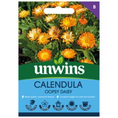 5051618025041 1 Calendula Oopsy Daisy Seeds.jpg